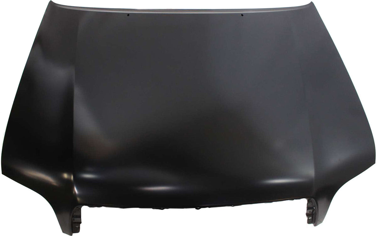 TUNDRA 00-06/SEQUOIA 01-07 HOOD